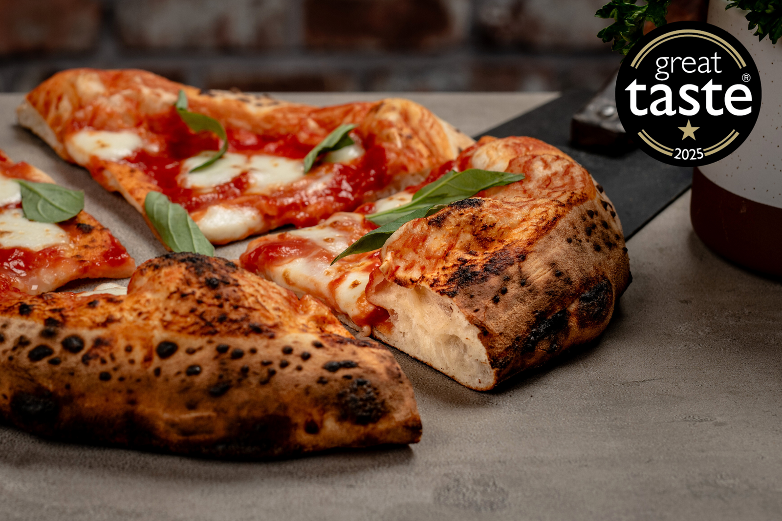 Neapolitan Pizza Dough Balls (240g)